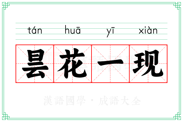 昙花一现 昙花一现