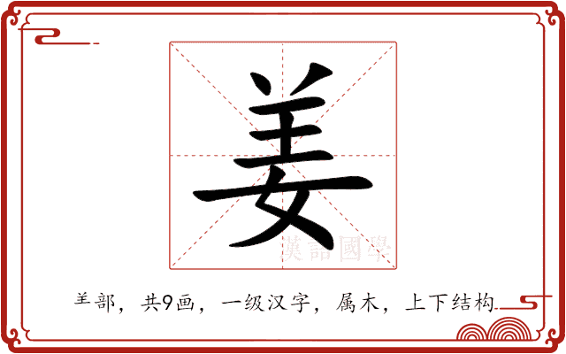 姜 姜