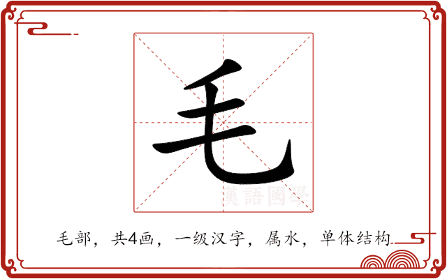 毛 毛