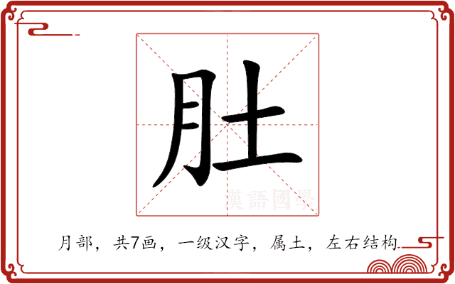 肚 肚