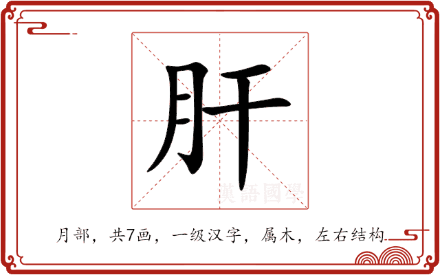 肝 肝