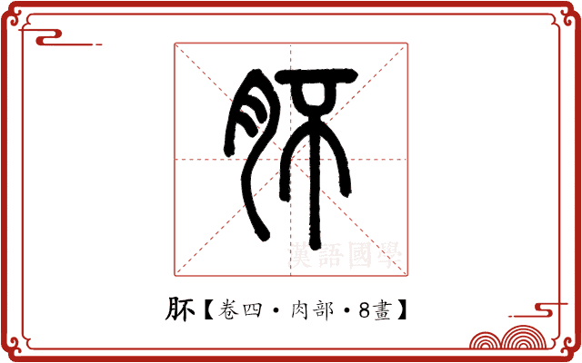 肧 肧