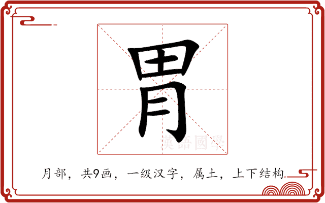 胃 胃