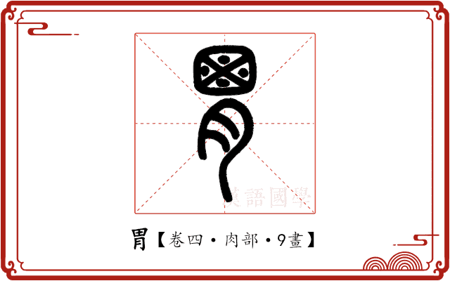 胃 胃