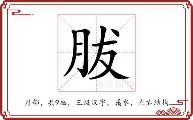胈 胈