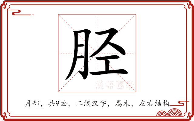 胫 胫