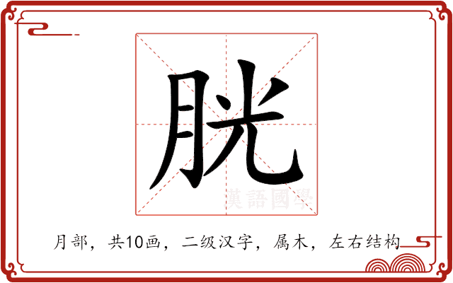胱 胱