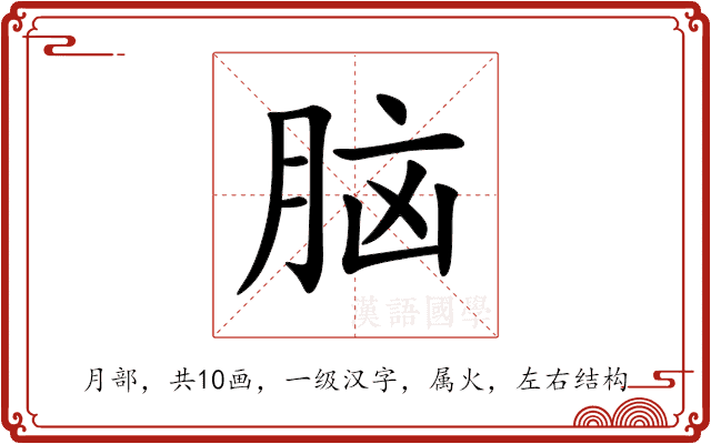 脑 脑
