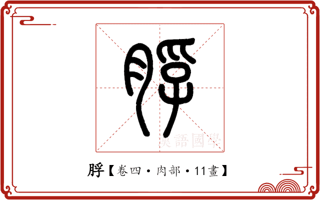 脬 脬