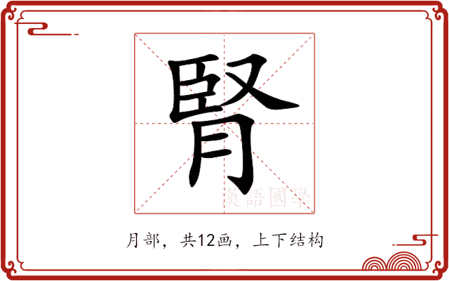 腎 腎