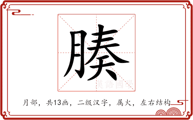 腠 腠