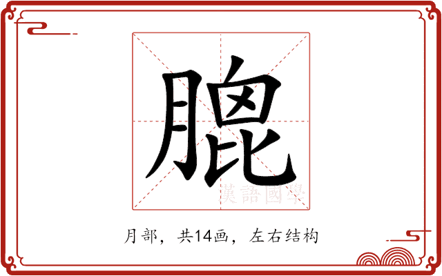 膍 膍