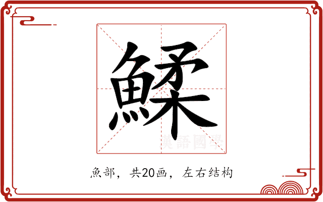 鰇
