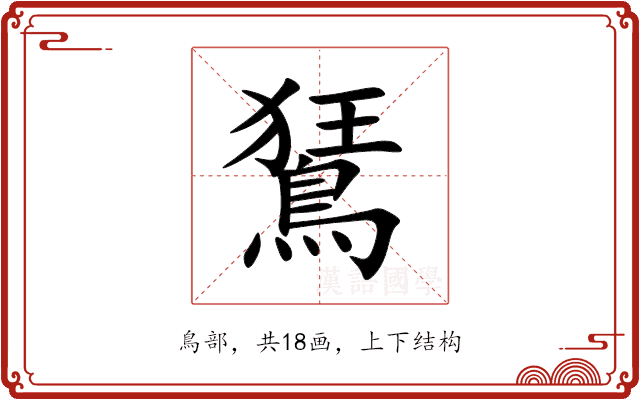 鵟 鵟