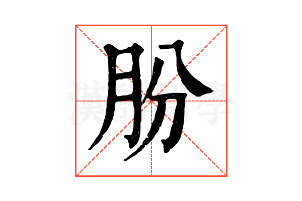 肦 肦