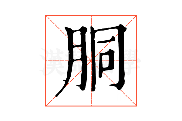 胴 胴