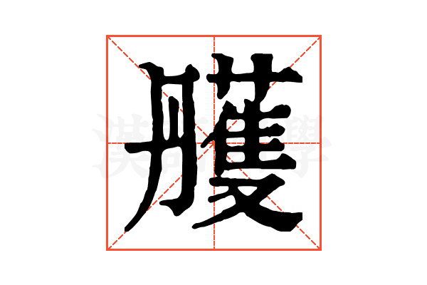 雘 雘