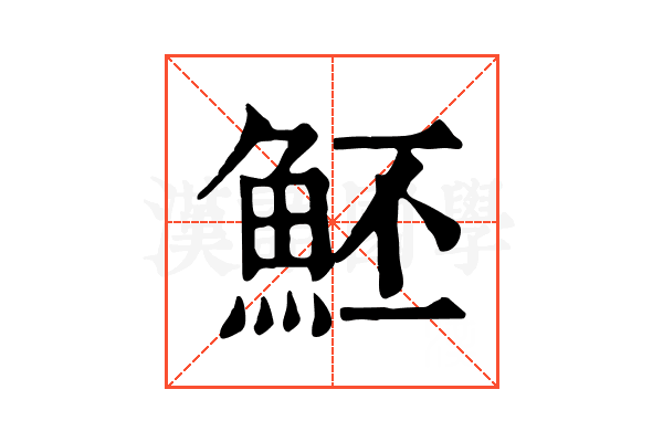 魾 魾