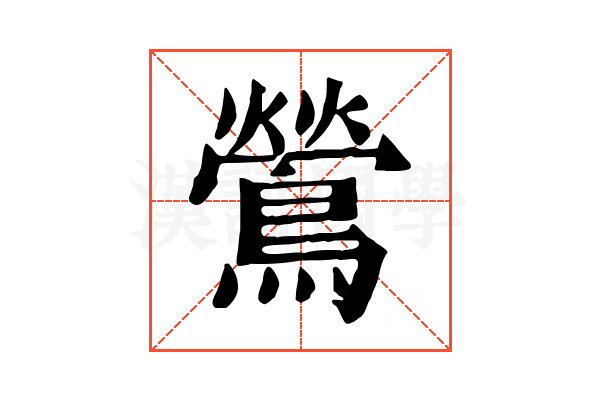 鶯 鶯